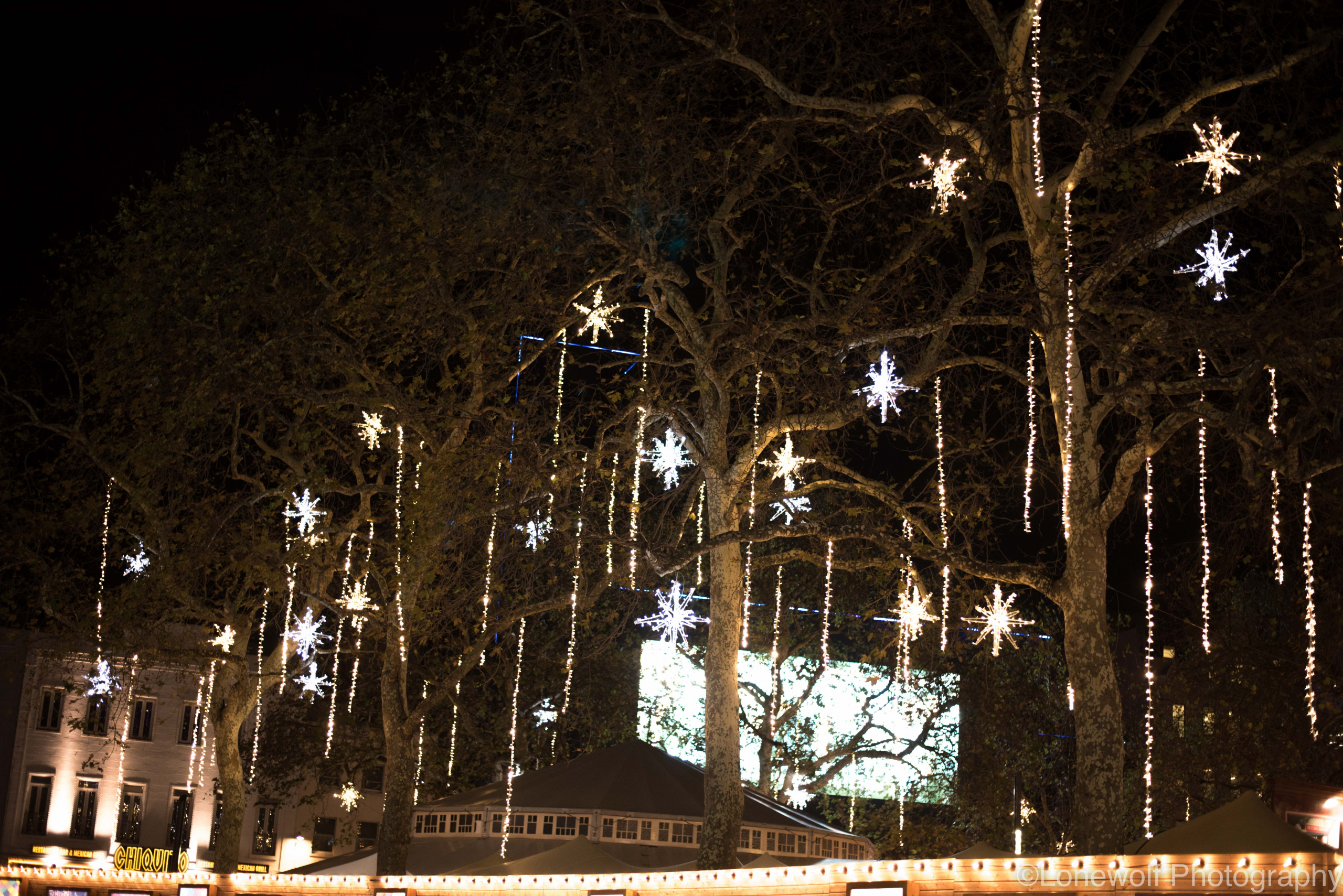 christmas lights LS