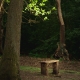 Bench in the forest